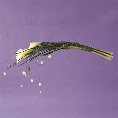 s&nbsp;52b&nbsp;favnbukett